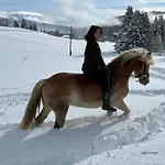 Seeblick Vendégház 3*
