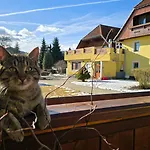 Seeblick