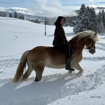 Gasthof Seeblick Guest house 3*