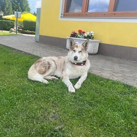 Seeblick Konukevi 3*