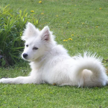 Seeblick בית הארחה 3*