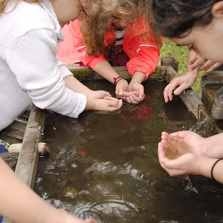 Gasthof Seeblick Guest house
