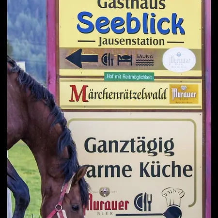 Guest house Gasthof Seeblick Zeutschach