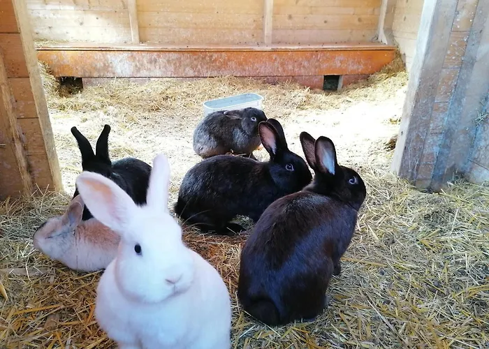 Seeblick ゲストハウス Zeutschach