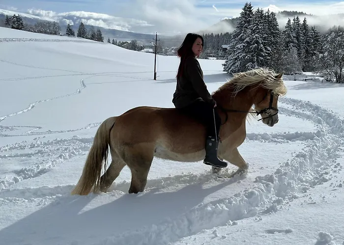 Seeblick ゲストハウス 3*