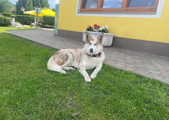 Seeblick Konukevi 3*